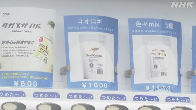 日本长野县推出昆虫零食（日本NHK电视台）