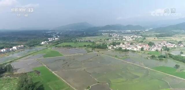 大国“粮”策  机械助力抢农时 加快水稻夏种