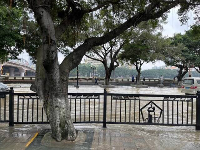 中心城区洪水黄色预警生效 广州防汛应急响应升至三级