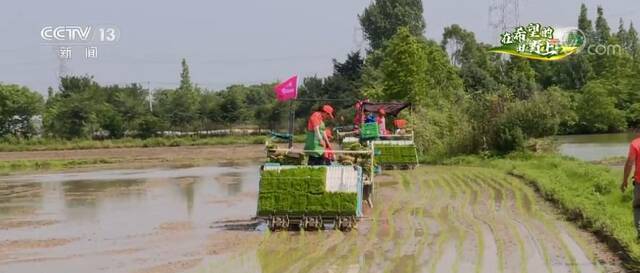 大国“粮”策  主产区加大撂荒地整治 确保粮食播种面积稳定