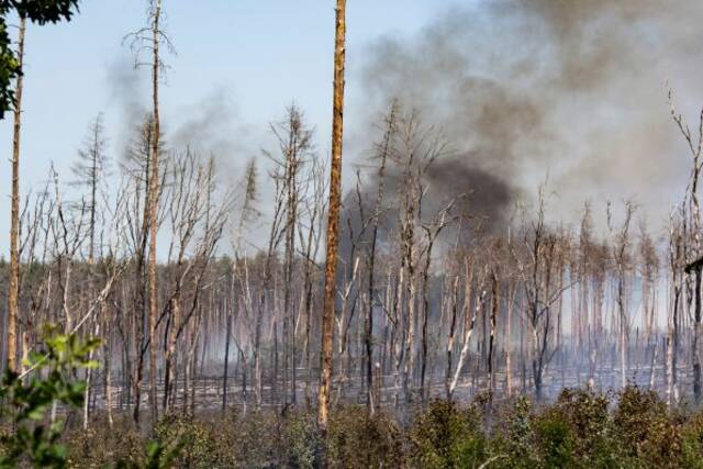 德国创纪录高温天气引发森林火灾