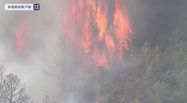 天干风大 美新泽西州南部山火吞噬近3000公顷土地
