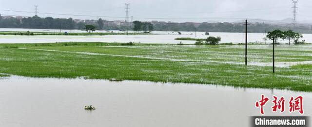 江西乐平启动防汛Ⅰ级应急响应 暴雨致11万余人受灾（图）