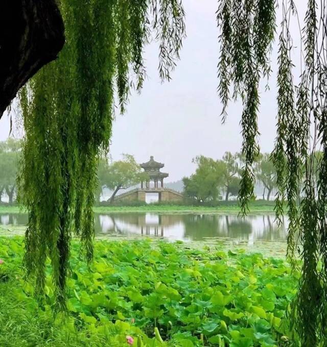 北京今天白天有雷阵雨，气温明显下降，最高温28℃