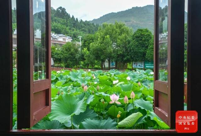 镜头  盛夏已至 欢心咏歌