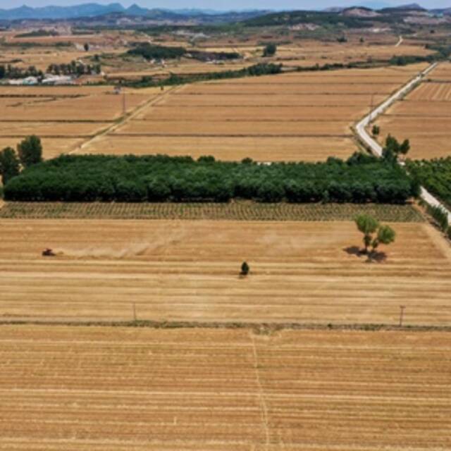 新华全媒+丨把饭碗牢牢端在自己手里——来自一些粮食主产区的新变化