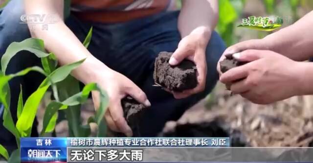 夏粮主产区冬小麦收获已结束 现代科技保障粮食稳产提质