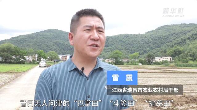 新华全媒+｜江西积极开展高标准农田建设和撂荒耕地治理