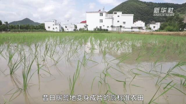 新华全媒+｜江西积极开展高标准农田建设和撂荒耕地治理