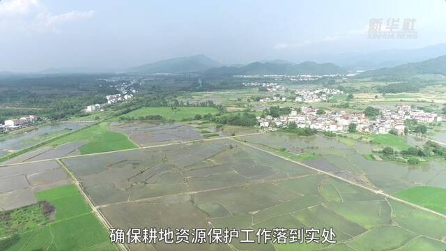 新华全媒+｜江西积极开展高标准农田建设和撂荒耕地治理