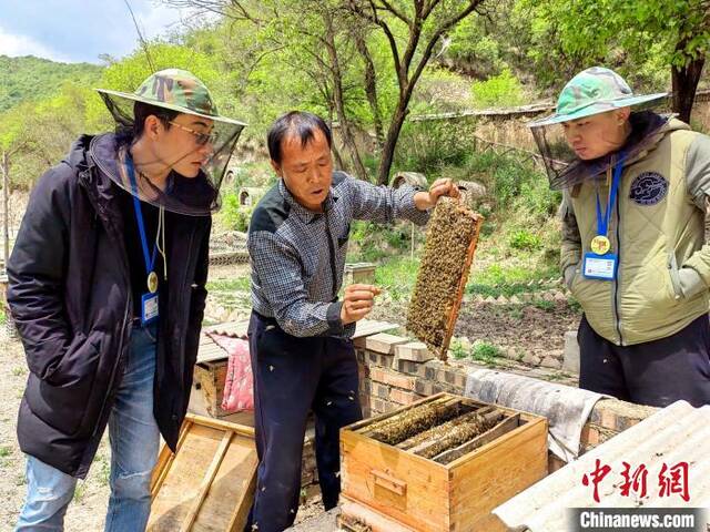 集美村蜂农为阿韦与阿文介绍蜂蜜养殖情况。受访者供图