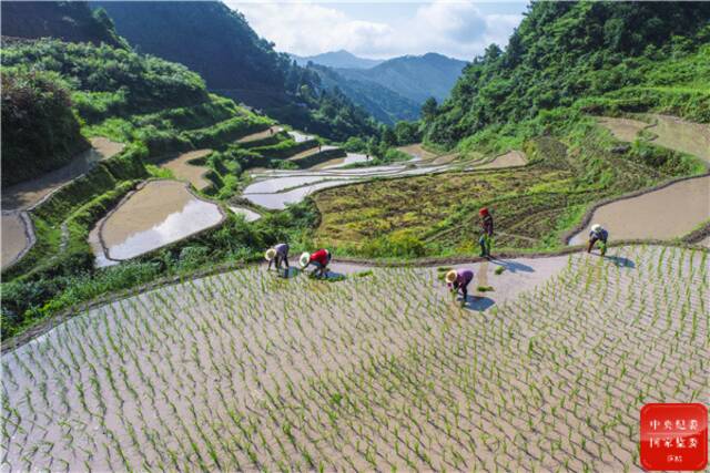 节约集约 守护土地