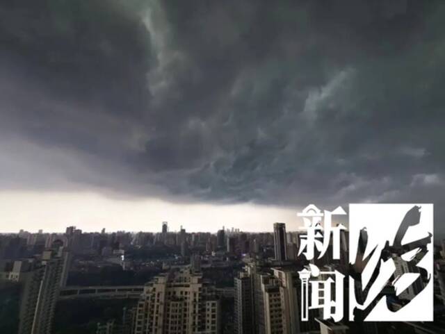 魔都今天黑云压城、倾缸大雨！一声雷把红绿灯也吓熄了？路边核酸亭…