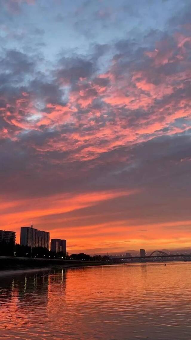 双台风海上共舞！对浙江有什么影响？今天杭州的天空又刷屏了，美出新高度