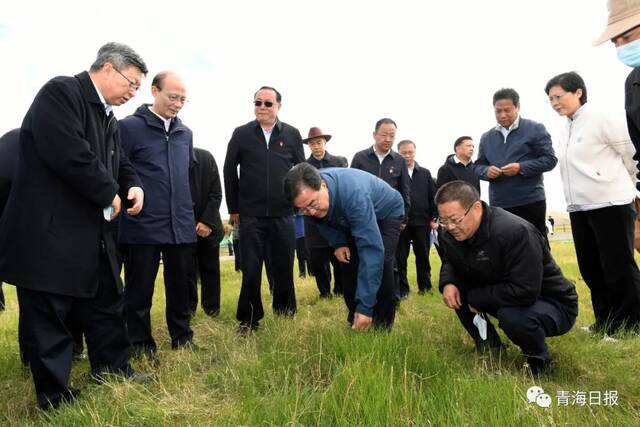 青海省领导赴木里矿区开展警示教育，省委书记在岩壁石刻“警”字前讲话