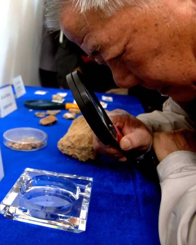 2006年11月6日，我国著名考古学家张忠培在浙江省浦江县的上山遗址观看“万年稻米”。（资料图片）新华社记者王小川摄