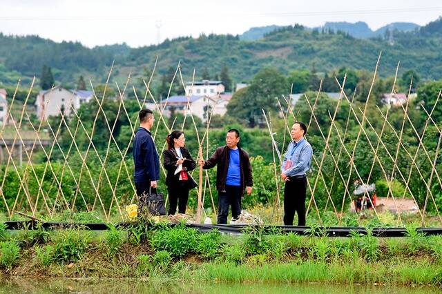 遵义市纪检监察机关组织干部一线走访，听民声、察民情。