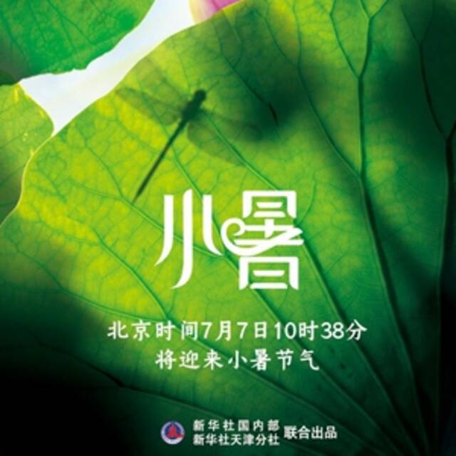 7日10时38分小暑：倏忽温风至 因循小暑来