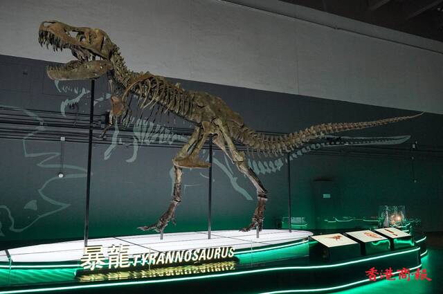 香港科学馆7月8日起举行大型恐龙展览