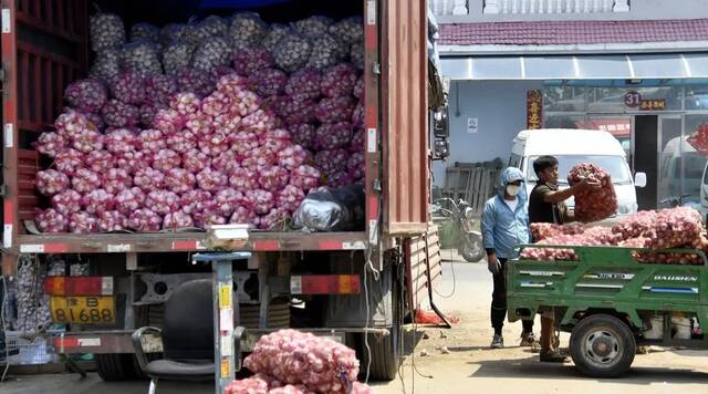 5月20日，商家在北京新发地市场搬运大蒜。新华社记者李欣摄