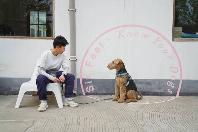 ▲4月17日，天通苑一家犬行为训练中心，大佟和“泰迪”在院子里休息。