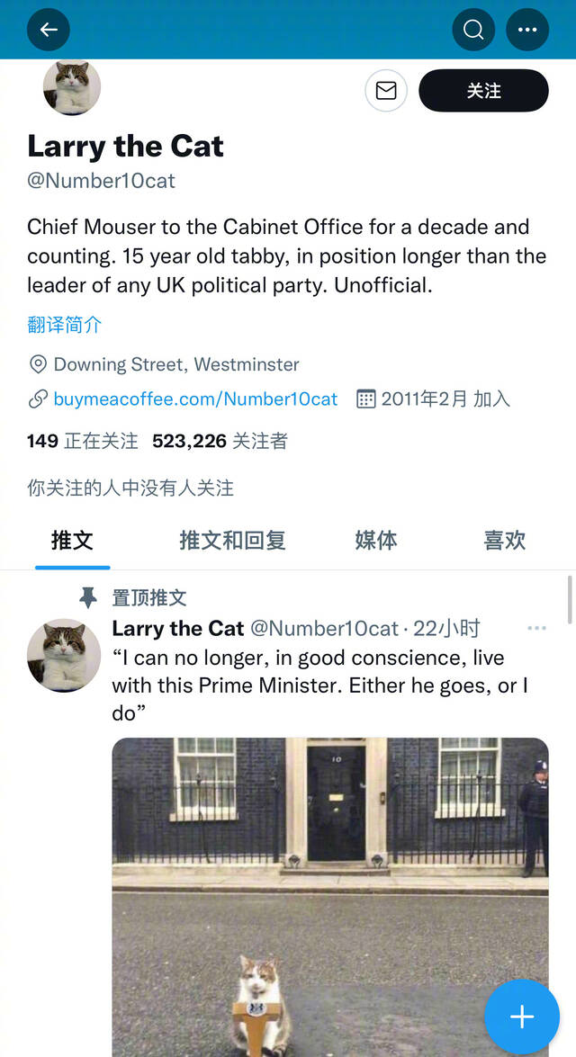 连猫都嫌弃英国首相了？