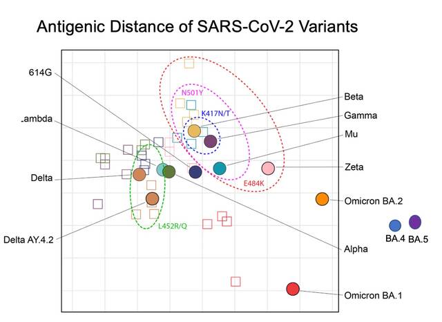 抗原图谱显示奥密克戎BA.5已发生很大漂移