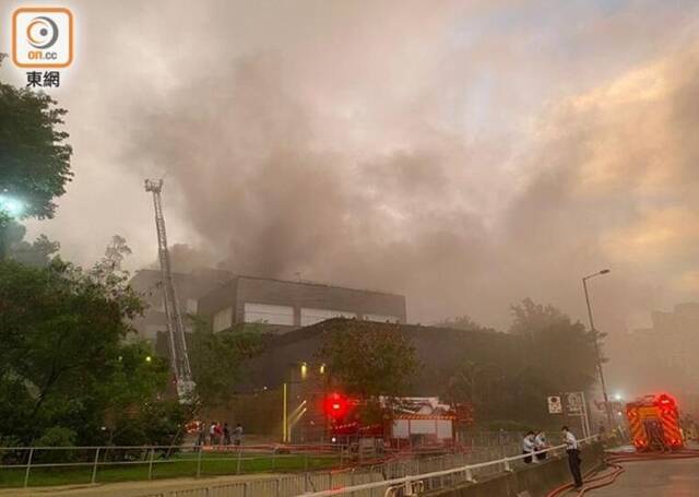 港媒：林青霞香港豪宅凌晨突然起火，佣工抱宠物犬逃生