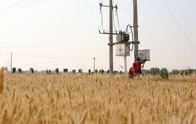 国网安徽太和县供电公司员工在田间检查用电设备。