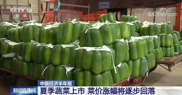 中国经济半年报  山东寿光：夏季蔬菜上市 菜价涨幅将逐步回落