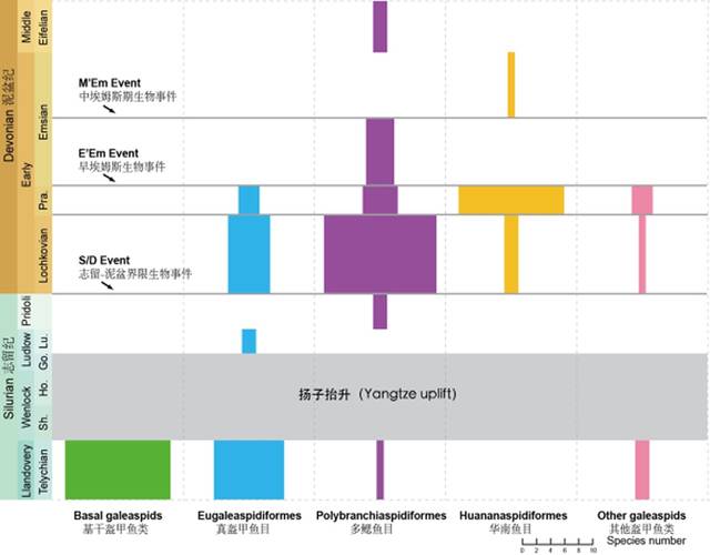 云南楚雄彝族自治州首次发现3.9亿年前中泥盆世盔甲鱼类——东方鱼