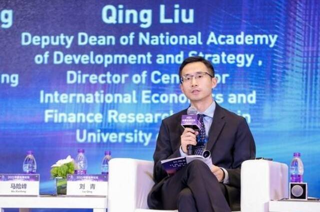 中国人民大学国家发展与战略研究院副院长、教授刘青