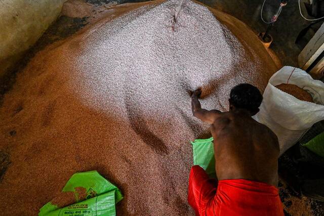 ↑4月24日，斯里兰卡工人在碾米厂工作