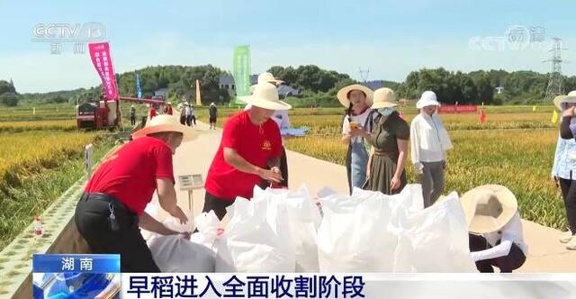 在希望的田野上·三夏时节  湖南各地早稻进入全面收割阶段