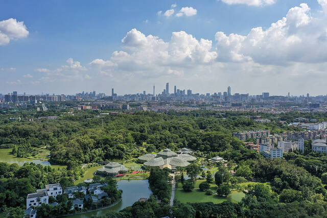 2022年7月11日，广州市，航拍华南国家植物园。中新社记者陈骥旻/视觉中国图