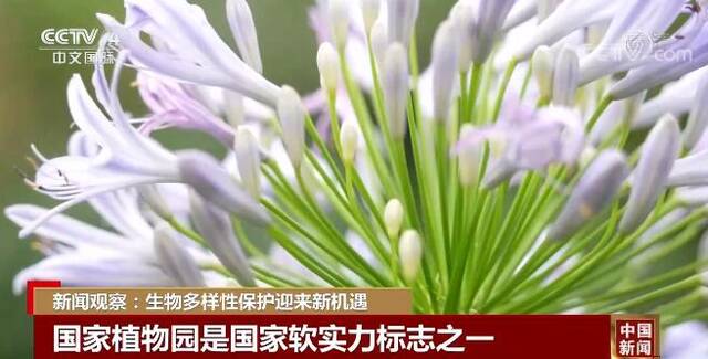 我国生物多样性保护迎来新机遇 国家植物园体系建设迈出坚实步伐