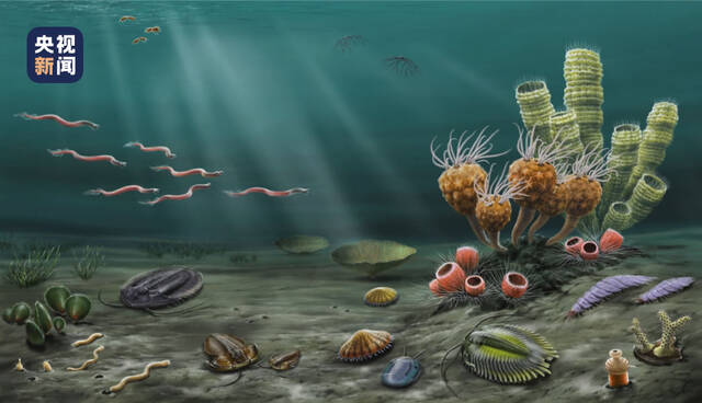 湖南永顺发现的特异埋藏化石库——列夕动物群揭示奥陶纪生物大辐射早期海洋生态面貌