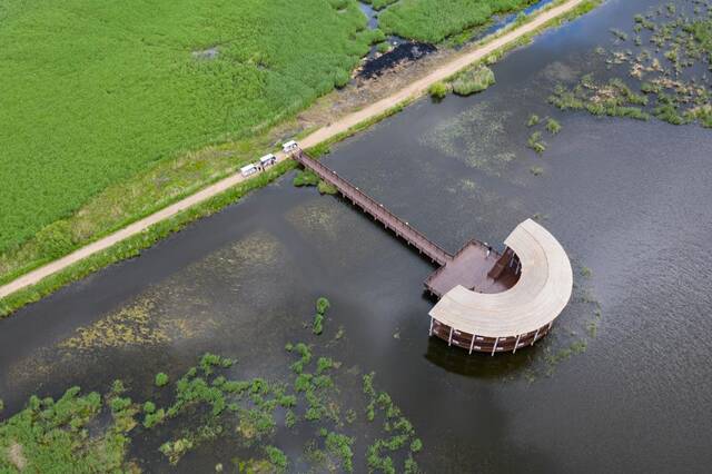 6月17日拍摄的七星河国家级自然保护区风光（无人机照片）。新华社记者谢剑飞摄