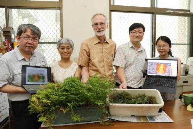 台湾中兴大学解密卷柏矽晶体 或可用在太阳能相关应用研发