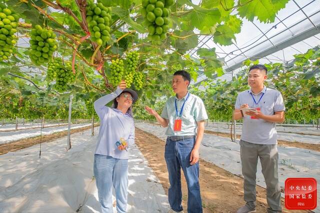 镜头丨紧盯民生热点做实监督