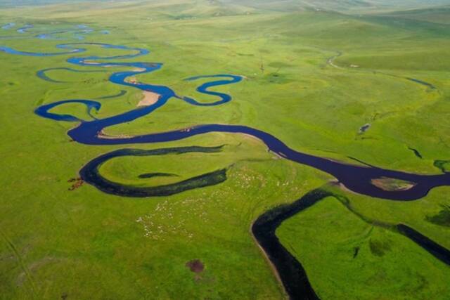 这是位于内蒙古呼伦贝尔市陈巴尔虎旗境内的莫日格勒河（2021年7月21日摄，无人机照片）。新华社记者连振摄