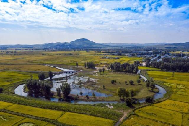 这是内蒙古兴安盟乌兰浩特市乌兰哈达镇三合村的稻田（2020年9月5日摄）。新华社发（毕力格摄）