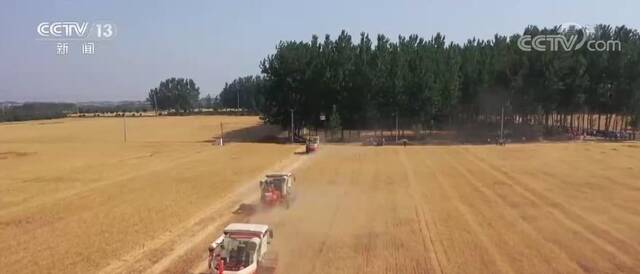 农业农村部：小麦机收进度快于去年 实现适期收获、颗粒归仓