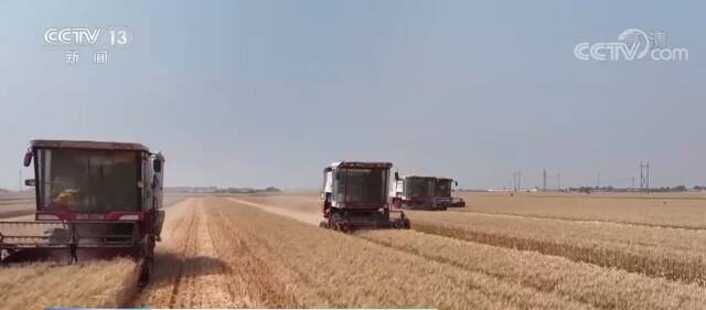 打通农机跨区作业堵点卡点 小麦机收由“丰收在田”转为“丰收到手”