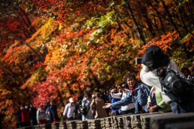 游客在辽宁省本溪市大石湖风景区拍照留念（2020年10月7日摄）。本溪市是国家森林城市，有“枫叶之都”的美誉。新华社记者潘昱龙摄