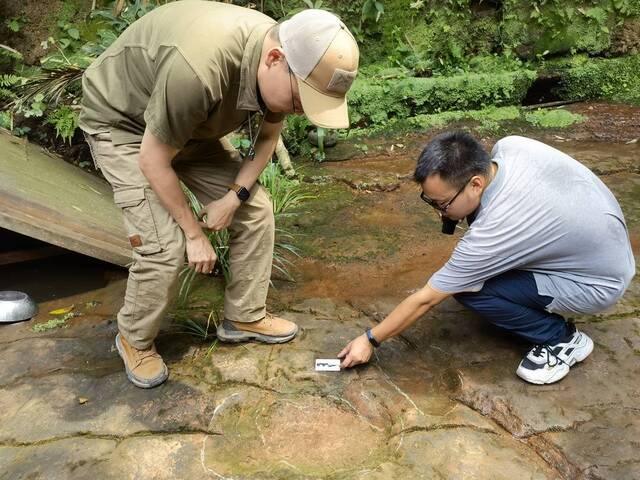 四川乐山一餐厅发现恐龙足迹化石为白垩纪早期雷龙留下