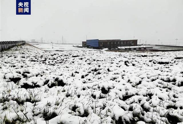 青海省天峻县三伏天出现罕见降雪天气