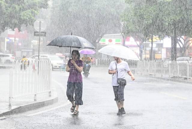 7月3日，台风“暹芭”来袭，广州市民在雨中出行（中新社陈骥旻摄/图