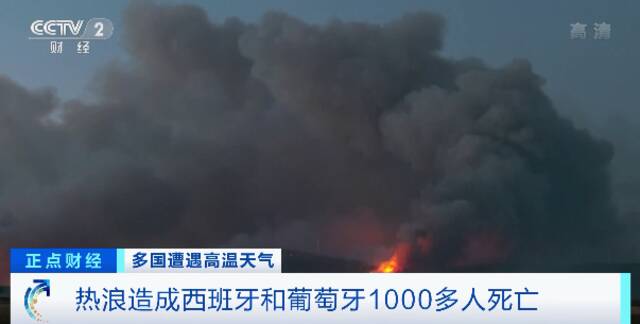 超1000人死亡！多国拉响极端高温天气预警，机场跑道也被热化了