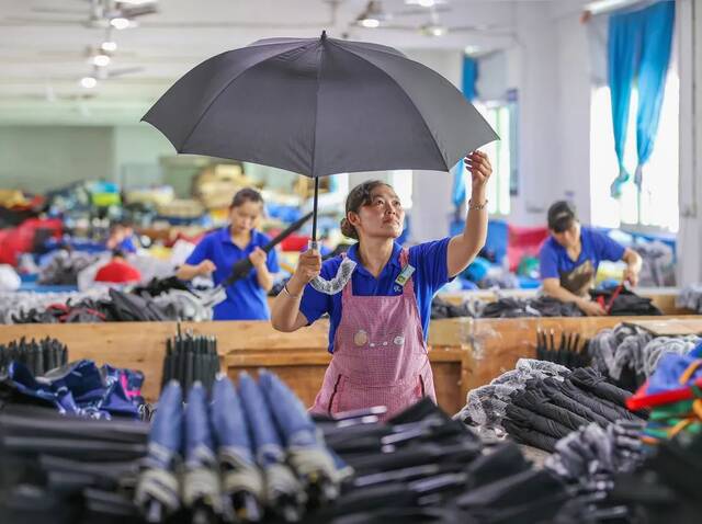2022年6月24日，福建省泉州市一家工厂的雨伞生产线